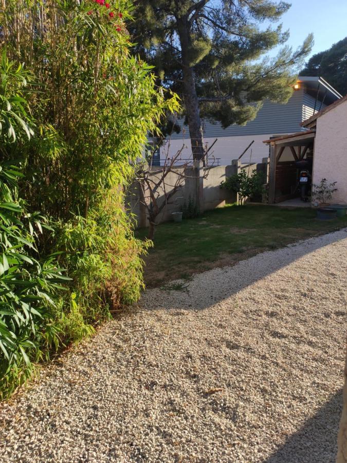 טולון Joli Studio Au Calme מראה חיצוני תמונה